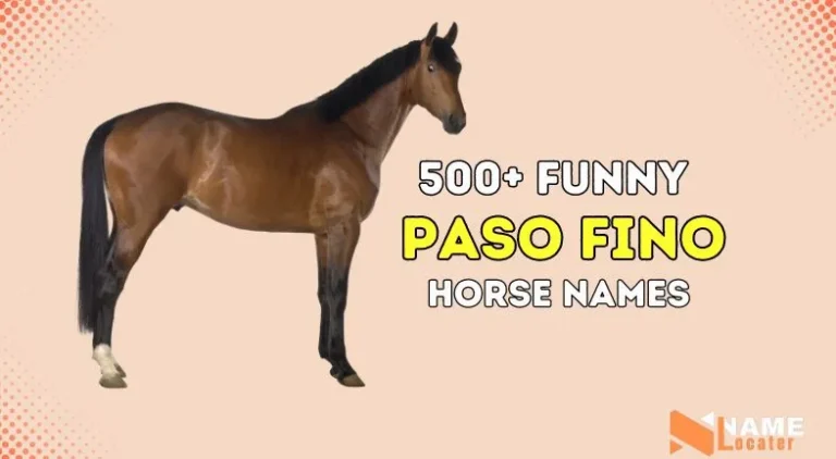 200+ Unique Names for Paso Fino Horse