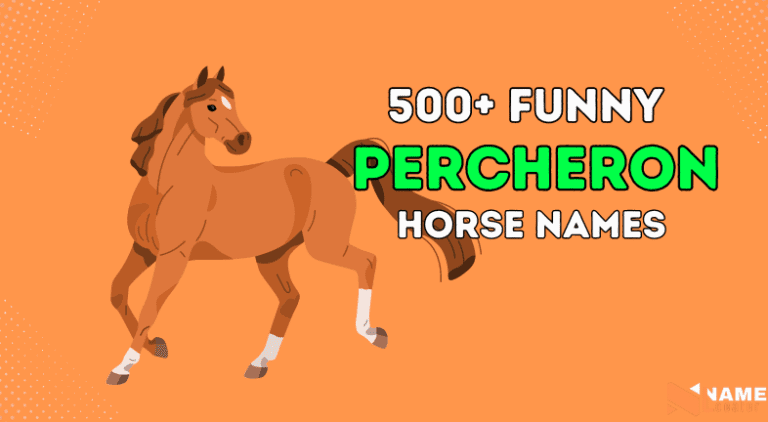 Find the Perfect Unique Percheron Horse Names Here