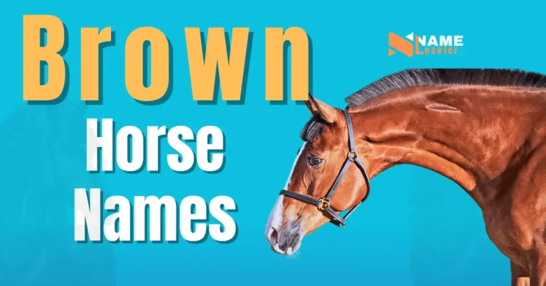 Amazing Brown Horse Names (With Meaning)